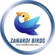 👑 Zanardi Birds