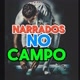 NARRADOS NO CAMPO