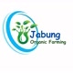 Jabung  Farming
