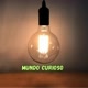 Mundo Curioso Oficial