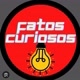 FATOS CURIOSOS 💡❓