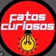 FATOS CURIOSOS