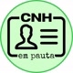 CNHemPauta