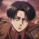Levi