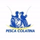 PESCA COLATINA