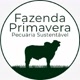 Fazenda Primavera Gurinhatã