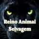 REINO ANIMAL SELVAGEM 🦁