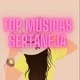 Top Músicas Sertaneja ❤️🎧