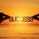 sucesso