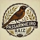 passarinheiro raiz