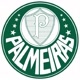 palmeiras 💚🤍
