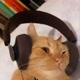 cat.musicw