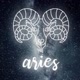 Aries Film CBF