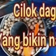 cilokkejut