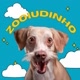 Zooiudinho