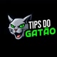 tipsdogatao
