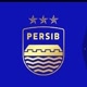 Bobotoh Persib 🥶