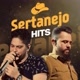 sertanejo hits