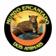 EncantadoMundoAnimal