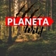 Planeta Wild