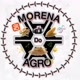 Morena-Do-Agro