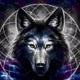 Wolf_Solitário🥀