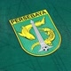 SEPUTAR PERSEBAYA 🐊