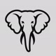 Elefante Videos