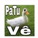 Patu vê