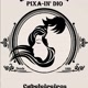 Pixa-In' Dio Cabeleireiros Peruíbe