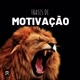motivação e reflexão