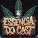 Essência  do Cast