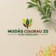 mudas colorauzs029