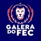 Galera do FEC