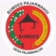 Bumdes Pajarwangi