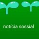 notícia sossial