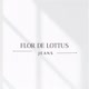 Flor de Lottus Jeans
