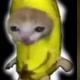Gato banana🇧🇷🥋