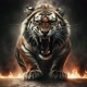 Tigre_ml