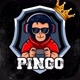 PINGO