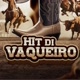 Hit Di Vaqueiro