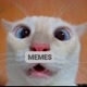 MEMES😂
