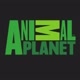 ANIMALPLANET
