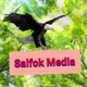 Salfok Media