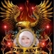 Dpr Alys
