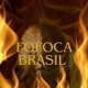 FOFOCA BRASIL