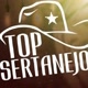 top sertanejo