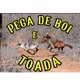 PEGA DE BOI E TOADA