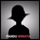 Pandu Winata