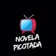 NOVELA PICOTADA